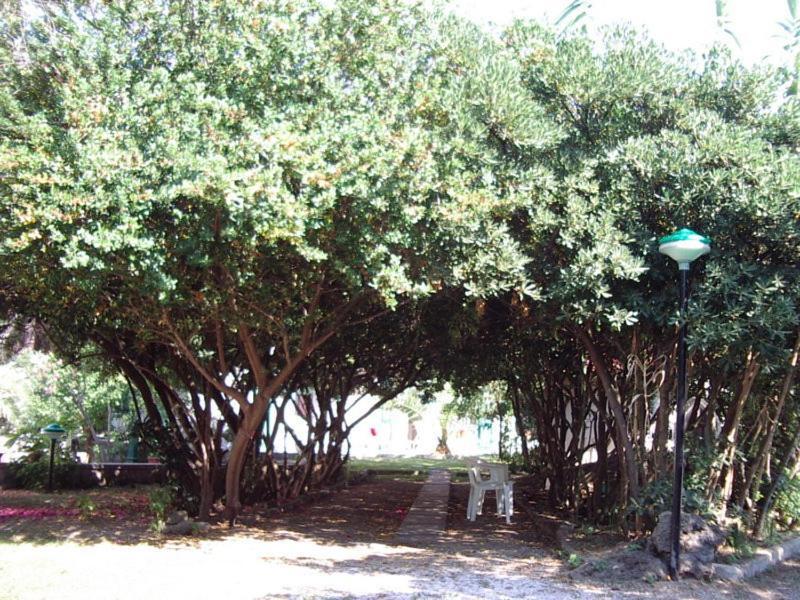 Hotel Baia Del Sole Paestum Zewnętrze zdjęcie
