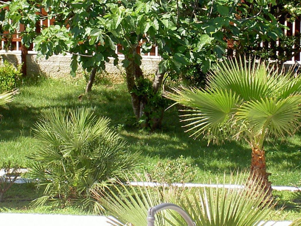 Hotel Baia Del Sole Paestum Zewnętrze zdjęcie